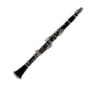 Clarinet 17 Key Falling Tune B/ABS Pipe Body Material Clarinet Beginner Clarinet