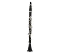 Clarinet 17 Key Falling Tune B/bakelite Pipe Body Material Clarinet Woodwind Instrument Clarinet Set