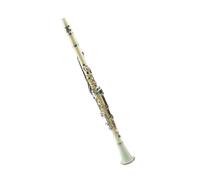 Clarinet 20 Keys G Tune Plastic Instrument Clarinet(White)
