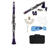 Clarinet ABS 17 Key BB Flat Binocular Clarinet With Gloves 10 Reeds/Case Beginner Clarinet (Color : Purple)