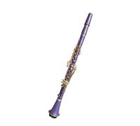 Clarinet ABS glossy purple 17 key clarinet in B key for beginners to take exams