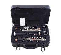 Clarinet B flat Beginner Playing the clarinet