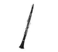 clarinet Clarinet G 20 Keys Plastic Black Tube Western Wind Instrument(Black)