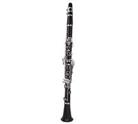 Clarinet Ebony Clarinet Double Two Section Adjustable Musical Instruments 17 Keys Bb Practice Playing