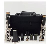 Clarinet for Beginner Matte ABS Resin Clarinet Bakelite Clarinets Intermediate Bb Mouthpiece 4C Included Case Student Clarinet Set