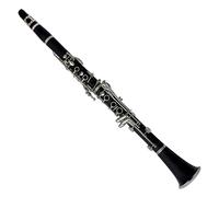 Clarinet for Beginner Professional Band Play A Clarinet Woodwind Instruments Free A Tune Clarinet Case Bag Clarinete A Key Bakelite Clarinet Beginners Student Clarinet Set