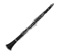 Clarinet G Tune 20-key Plastic Material Clarinet Playing Wind Instrument Beginner Clarinet (Color : Black)
