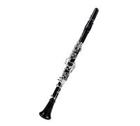 Clarinet Kit Professional Ebony Clarinet Bb Tone 17/18 Keys Silver Plated Solid Wood (Color : 18)
