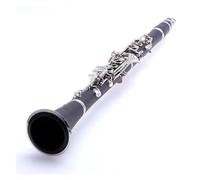 Clarinet Musical Clarinet B-flat Professional Clarinet 17 Keys ABS Silver Plated Instruments Beginner Clarinet