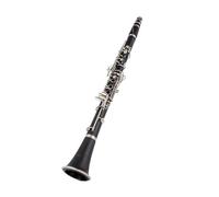 Clarinet Musical Elegant B-flat Tune Professional Woodwind Instruments Clarinet Black tube With Case Accessories