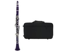 Clarinet Musical Instrument 17 Keys Colorful Clarinet Professional Bb Tone ABS Resin Clarinet Woodwind Instrument(C)
