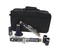 Clarinet Musical Instrument Purple 17 Keys B Flat Clarinet ABS Resin Body Nickel Plated Keys Clarinet With Case And Accessory