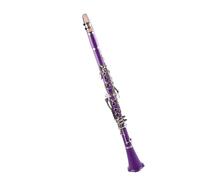 Clarinet Musical Purple ABS Clarinet Resin Bb Nickel-plated Brass 17-key Woodwind Instrument Set Multicolor