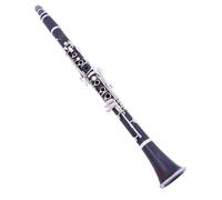 Clarinet Set B-flat Tune Professional Woodwind Instruments Clarinet Black Tube With Case Accessories