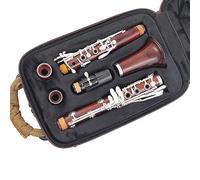 Clarinets Musical Instrument Student Beginner Playing The ClarinetWood Professional Clarinet Bb Silver Plated Keys (Color : 01)