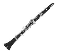 Clarinets With A Clean Tone Clarinet Bb Black Professional Woodwind Instruments