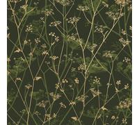 Wild Chervil Floral Wallpaper Clarissa Hulse Green One Size