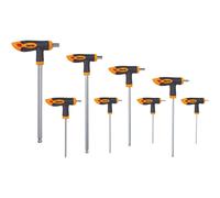 Clarke 1700539 Pro139 16 Piece Metric Hex & Torx Key Set