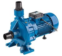 Clarke 7120410 Ecp20A3 2 Electric Centrifugal Pump (400V 3 Phase)