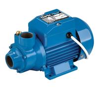 Clarke Electric Water Pump BIP1000 1" - 383W 40L/min 35m Head (230V) - 7230330