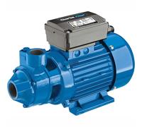 Clarke BIP1500A 1 800W 45Lpm 50m Head Water Pump (230V)"