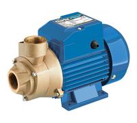 Clarke 7230327 Ceb103 1 Electric Centrifugal Water Pump (230V)