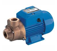 Clarke CEB103A 1 230V Centrifugal Brass Body Water Pump"