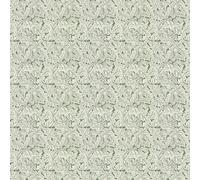 Clarke & Clarke Wallpaper Acanthus X Clarke & Clarke W0175/01