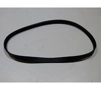 Clarke CPT800 Planer Drive Belt, ZNXCPT8044
