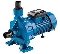 Clarke ECP20A1 2" Electric Centrifugal Pump (230V) - 7120405