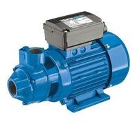 Clarke International Clarke Bip1500 1" 800W 45Lpm 50M Head Water Pump (230V)