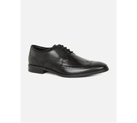 Brandon Limit Brogue Standard Fit Black 12 M