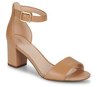 Clarks Women's 261719724 Deva Mae Pump, Brown, 4 UK