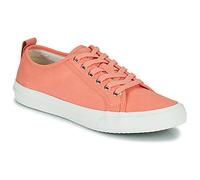 Clarks Shoes (Trainers) Roxby Lace in Pink 3