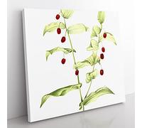 Clasping Twisted Stalk by Mary Vaux Walcott Vintage Canvas Wall Art Print Ready to Hang, Framed Picture for Living Room Bedroom Home Office Décor, 35x35 cm (14x14 Inch)