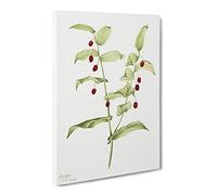 Clasping Twisted Stalk Flowers By Mary Vaux Walcott Vintage Canvas Wall Art Print Ready to Hang, Framed Picture for Living Room Bedroom Home Office Décor, 30x20 Inch (76x50 cm)
