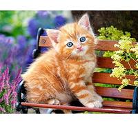 Classic 1000piece Jigsaw Puzzle Cat Art Animals Suitable for Bedroom, Living Room, Office, 52x38cm