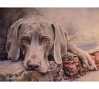 Classic 1000piece Jigsaw Puzzle Weimaraner Home Decor Gift 50x70cm