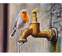 Classic 1000piece puzzle robin painting home decoration wall painting 52x38cm