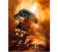 Classic 2000piece digital puzzle for children, beaded art, home decor, living room, bedroom, animal, dog, dachshund, decorative gift, 70x100cm