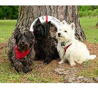 Classic 2000piece Jigsaw Puzzle Scottish Terrier Black Dog Westie for Wall Art Home Decor 70x100cm