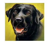 Classic 2000piece puzzle, Black Labrador, suitable for wall art, home decoration, 70x100cm