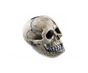 Classic Aquatics Polyresin Aquarium Ornaments - Spooky Skull - 8.5cm