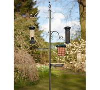 Classic Bird Station Pewter By Tom Chambers