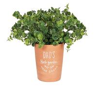 Classic Brown Terracotta Dad's Garden Plant Pot - 16cm x 13cm (1 Pc.) - Lush Greenery Design, Eco-Friendly & Durable Pot - Perfect for Gardens