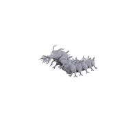 Classic Carrion Crawler: D&D Nolzur's Marvelous Miniatures (W24) - Board Game