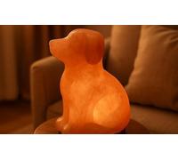 Classic Collection UK7 Ltd Himalayan Salt Lamp