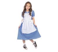 CLASSIC DOROTHY GIRLS COSTUME CAPE HAT COSTUME SET WORLD BOOK DAY FANCY DRESS