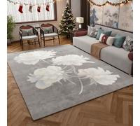 Classic European Heated Rug - Graphene Electric Carpet with 9-Layer Safety, Elegant Floral Design for Living Room & Bedroom - Warm, Quiet & Energy Efficient(Style3,32x63in/80x160cm)