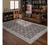 Classic European Heated Rug - Graphene Electric Carpet with 9-Layer Safety, Elegant Floral Design for Living Room & Bedroom - Warm, Quiet & Energy Efficient(Style4,99x79in/250x200cm)